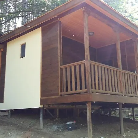 к-г луна к-с лонгоза комплекс лонгоза