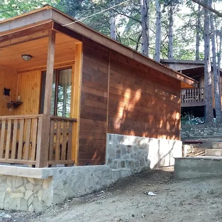 게스트하우스 к-г луна к-с лонгоза комплекс лонгоза